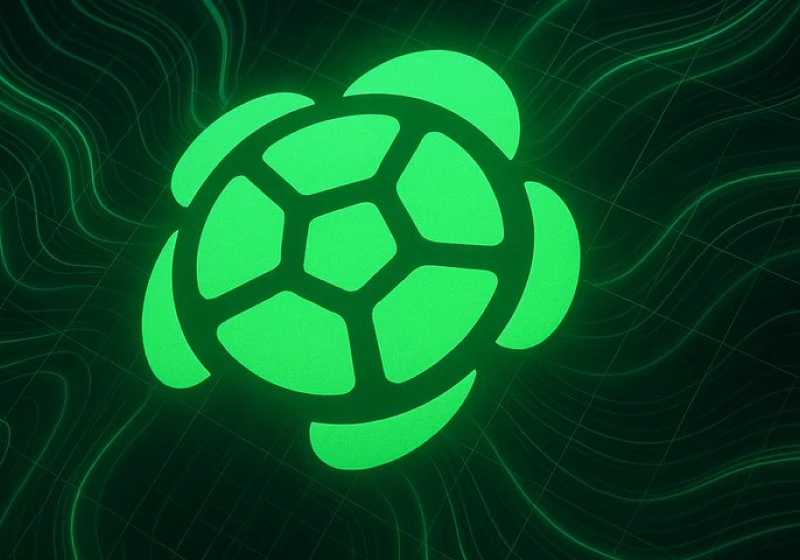 Turtle's DeFi Playbook